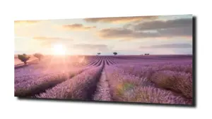 obraz na szkle Lawendowy zachód słońća  