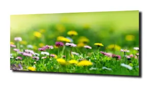obraz na szkle Kwiaty łąka trawa natura 