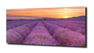 obraz na szkle, panel szklany Lawenda 1 