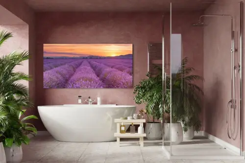 4a251ecc7884404476959c642e427548