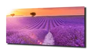 obraz na szkle, panel szklany Lawenda 2 
