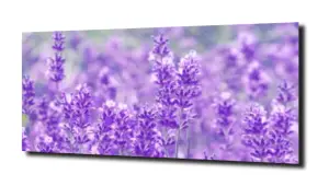 obraz na szkle, panel szklany Lawenda 3 