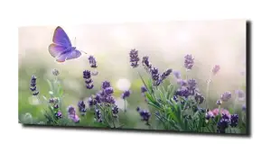 obraz na szkle, panel szklany Lawenda 6 