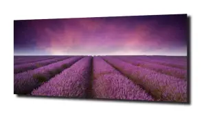 obraz na szkle, panel szklany Lawenda19 
