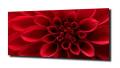68aadb77c9281ba712726167c3f6dfa4