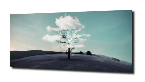 d808fa75315fdde01c76fc3a2b81a8c8