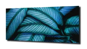 obraz na szkle, panel szklany Liście 11 