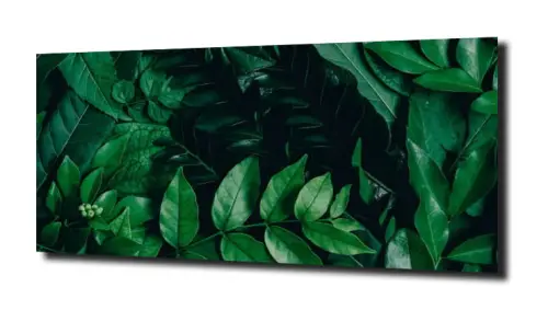 a4c43baa004d09a88c62991a91fba792