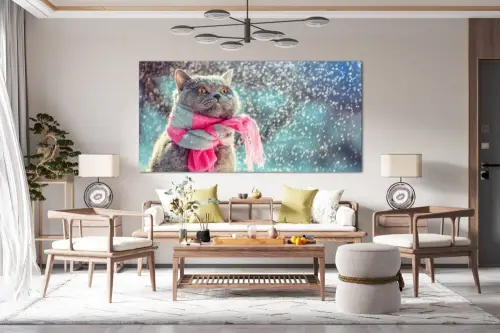 1db2dd3d27d5e6b1901f556d7c274571