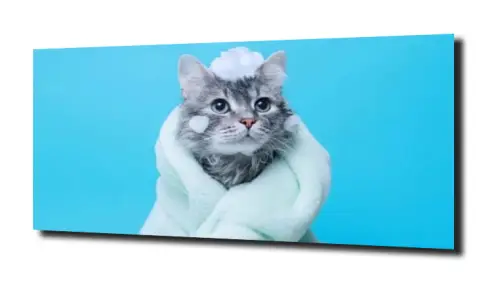 15df089309b4d63161284f307bcc97fe