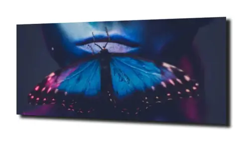 1fbe2d340ec29a84a28484f0b4bd976d