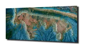 obraz na szkle Ekspresja sztuka zwierzę 