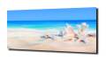 ca633f60c85a3b8768e8ac8228307e0e