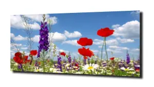 obraz na szkle Widok na kwiaty na łace 