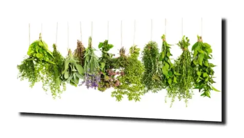 c0d81704cc9df86a38a036b2cf3fc5b9