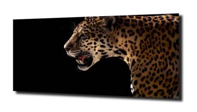 obraz na szkle, Panel szklany Jaguar 2 