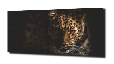 obraz na szkle, Panel szklany Jaguar 5 