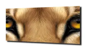 obraz na szkle, Panel szklany Oczy lwa 