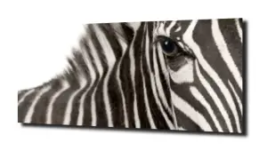obraz na szkle, Panel szklany Zebra XL 