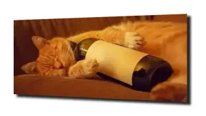 obraz na szkle, Panel szklany Kot wino 
