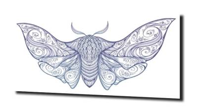 obraz na szkle Abstrakcja owad mandala 