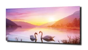 obraz na szkle Łabędż jezioro słońce  