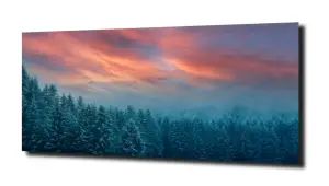 obraz na szkle Zima drzewa słońce las 