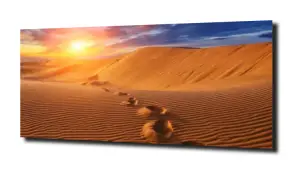 obraz na szkle Pustynia ślady słońce  