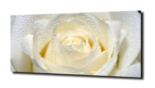 9fd085c55ad97000416060d074a3a2c5