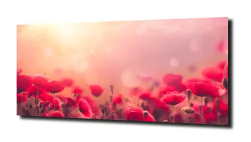 obraz na szkle, Panel szklany Maki 48 