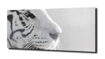 obraz na szkle, Panel szklany Tygrys  