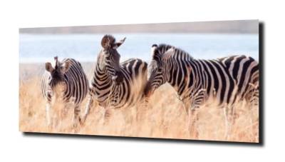 obraz na szkle Zebra jezioro egzotyka 
