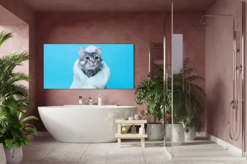 2050c65b953310a6d5a282a3410e25b0