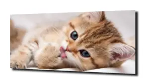 obraz na szkle Piękny mały rudy kotek 