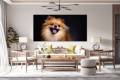 5daa3eab8788655a03c54a803aed76b5