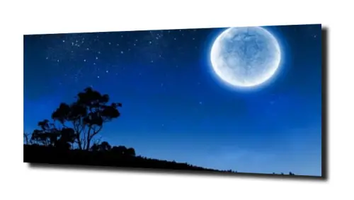 d9009b7e546af54f63c1b5df8eb4b001