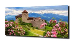 obraz na szkle Zamek w górach kwiaty 