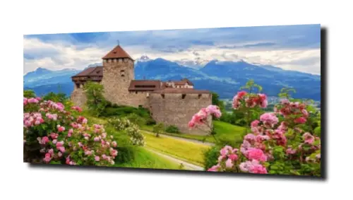 8cd5a0b2c5e808715a7bb80ea27c66b1