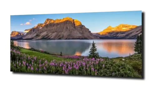 d25b7b786f780dde7e0265ffdcae653c