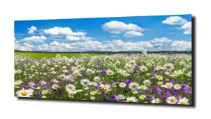 obraz na szkle Kwiaty, łąka  i niebo 
