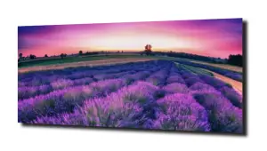 obraz na szkle Widok na pole lawendy 