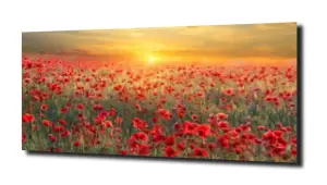 obraz na szkle Maki kwiaty łąka lato 