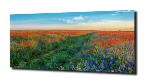 obraz na szkle Widok na pole kwiatów 