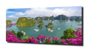 obraz na szkle Halong bay - Wietnam  