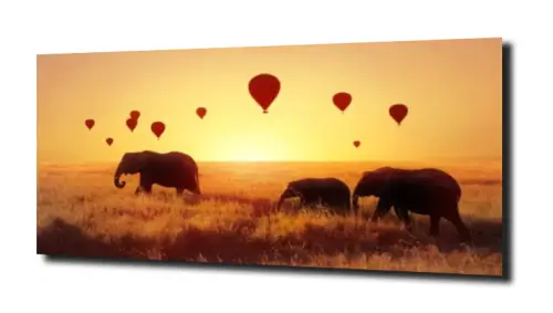 7585fec2457e59bc840a17c62fbfe0cb