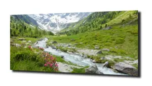 obraz na szkle Strumyk dolina górska 