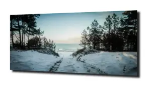 obraz na szkle Zejście na plażę zimą 
