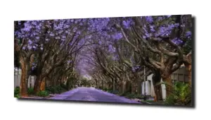 obraz na szkle Uliczka pełna kwiatów 