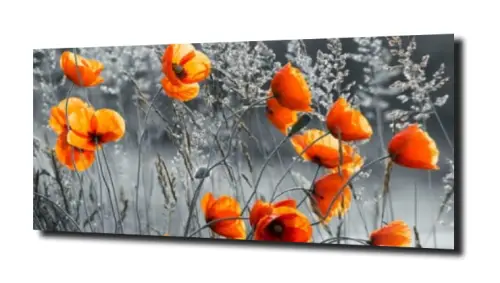 obraz na szkle, Panel szklany Maki 3 
