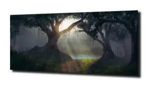 obraz na szkle, Panel szklany Las 10 